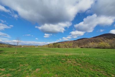 Teren Rasnov – Predeal zona de pensiuni - 6