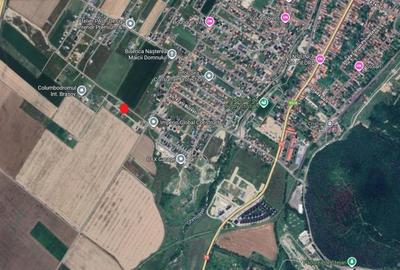 Teren intravilan granita Rasnov Cristian 890 mp - 8