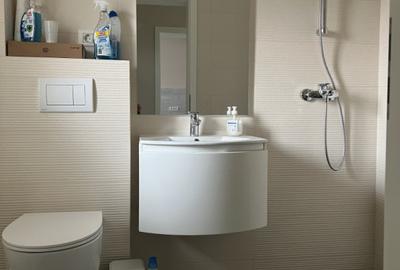 Duplex, 4 camere, 290mp teren, 125mp utili, curent trifazic -  Sacalaz - 13