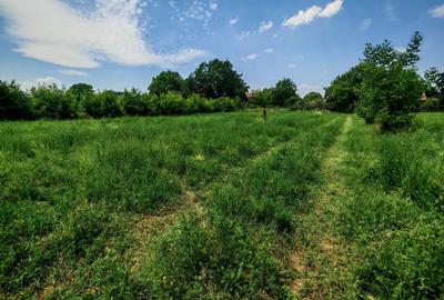 Teren intravilan Stupini ,Central, 823mp,Utilitati,83000 eur - 2