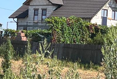 Vînd casā , vilā : la gri - 1