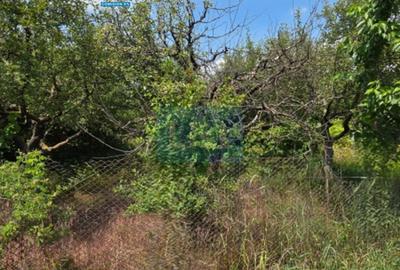 Teren de vanzare zona industriala - 1