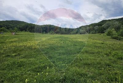 Teren 11,935mp Margineni / Strada Dubas - 1