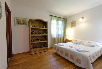 Casa de exceptie Campina - 8