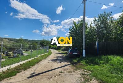 De vanzare 2965 mp teren intravilan, toate utilitatile, Oarda de Sus - 12