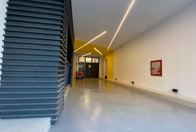 Piata Victoriei spatiu comercial - 4