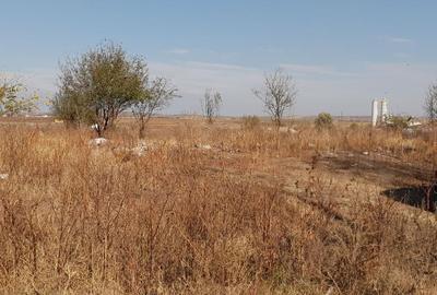 Teren constructii industriale Craiova - zona Cernele - 5