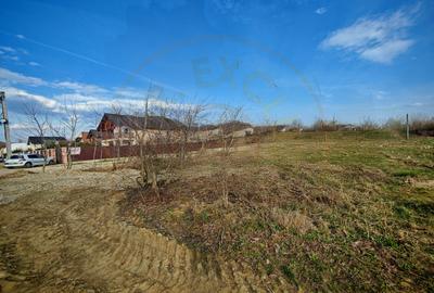 Teren intravilan Pitesti 2270 mp cu deschidere 24 m – Str. Mateias - 4