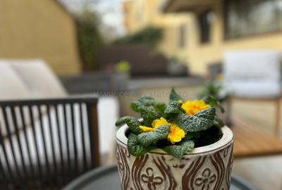 HERASTRAU LE CLUB DE INCHIRIAT APARTAMENT 3 CAMERE LUX LOC PARCARE - 22