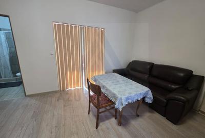 Studio la curte utilat complet cu terasa  zona Lazaret - 8