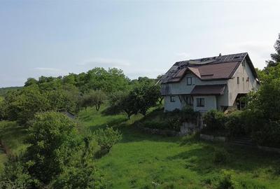 Teren 4800 mp cu Livada si Casa Nefinalizata - Adancata! - 7