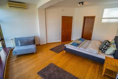 Apartament 2 camere, inchiriere lunga durata, Herastrau - 10