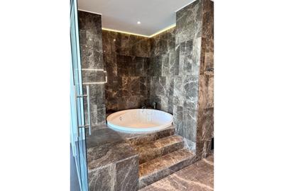 REA1017888 Pethouse Premium 261MP I Floreasca I View Deosebit - 6
