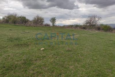 Comision 0! teren intravilan 5500mp, utilitati,  zona, strazii Veseliei Borhanci - 6