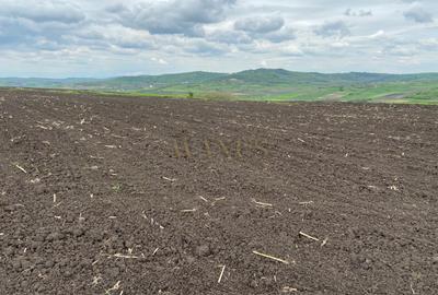 Teren extravilan, 10.200mp, Țagu - 3