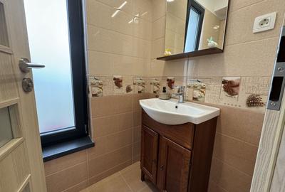 Vilă modernă de vânzare în Cristian | Construcție 2019 | Teren 500 mp - 11