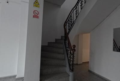 Imobil Central 355 mp | D+P+1+M | Consolidat & Renovant | 9 Camere - 25