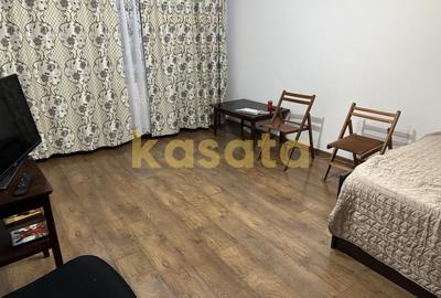 Garsonieră de vânzare | Valea Argesului | Ideală Investiție - 4