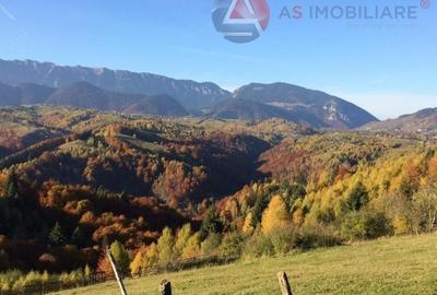 Teren intravilan cu priveliste superba catre munti, Moeciu de Jos - 1