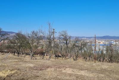 Vand teren intravilan zona 700 - 3