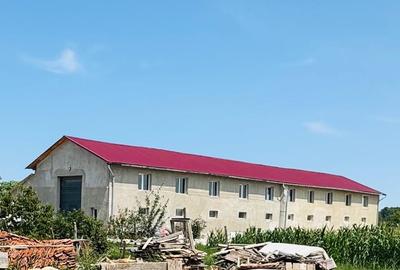 Hala 373 mp + teren in Santaul Mic - 1