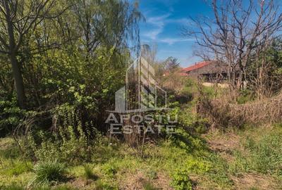 TEREN PE MALUL RÂULUI ARANCA SÂNNICOLAU MARE 0% COMISION CUMPĂRĂTOR - 4