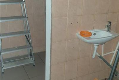 Spatiu comercial 333 mp, vitrina stradala 18 m, GARII - 12