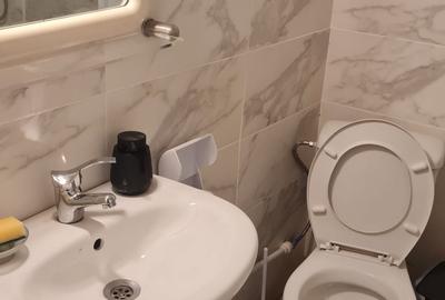 Apartament 2 camere, Podu de Piatra-Cantemir, mobilat si utilat - 15