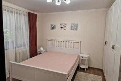 Apartament cu  3 camere si garaj de vanzare in zona Drumul Taberei - 4