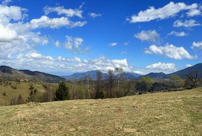 Teren 1550 mp, sat Pestera, zona Bran-Moieciu, jud. Brasov - 7
