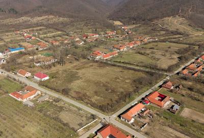 Conac nobiliar de secol XIX cu 8 camere în Maciova - 6