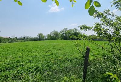 Teren intravilan ideal investitie in Catamarasti Deal - 4