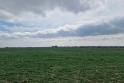 Loturi teren  construibil - 7