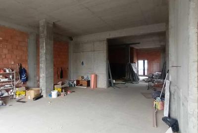 Spatiu comercial, 150 000 mp utili, zona Turnisor - 3