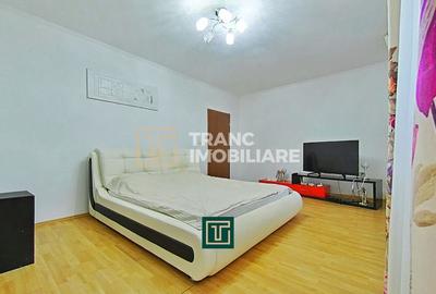 Casă impresionantă cu 15 camere, teren generos, piscină in Fantanele, Arad - 7