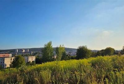 Vanzare 10 ari teren intravilan Tudor Str. Livezeni cu PUZ pentru casa - 2