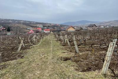 Teren ideal pentru dezvoltare 4.209mp, Chicerea, Comuna Tomești - 4