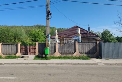 Spatiu comercial cu vad existent, Vaslui, Gura Bustei - 1