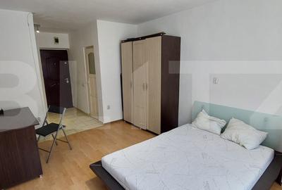 Garsoniera de vanzare in Gruia -ideala pentru investitie - 2