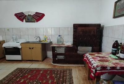 Casa P+M cu teren generos si loturi suplimentare in Baia de Cris - 9