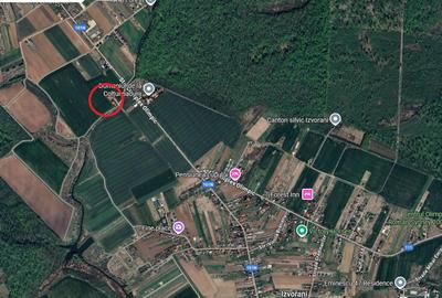 Ciolpani, spre Izvorani - COR, vanzare teren 5000mp. - 6