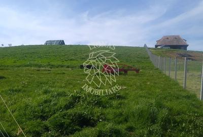 Teren 2500 mp-ideal agricultura/cabane/sera-panorama-Monariu - 5