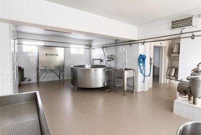 Fabrica de produse lactate+ birouri + 1.300mp teren, Ilieni, Covasna - 13
