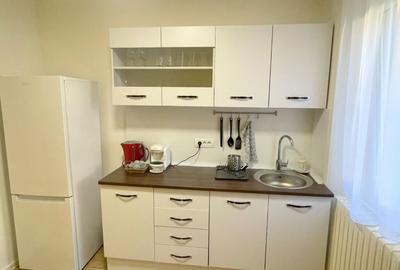 Apartament 2 camere-Take Ionescu Timisoara - 5