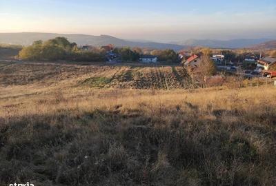 PF Vand Teren Intravilan Salicea - 100Euro/mp - 1