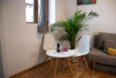 Unirii Mitropolie Studio Premium  In Bloc tip Vila cu Centrala Proprie - 29