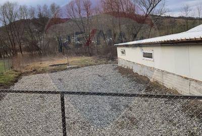 Afacere la cheie în creșterea porcinelor – Rona de Jos - 4