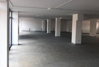 Spațiu comercial generos – 612 mp, cu terasă și 10 parcări, Zona C.Coposu - 5