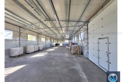 Spatiu industrial de inchiriat, zona Mihai Bravu, 378 mp #16628 - 4