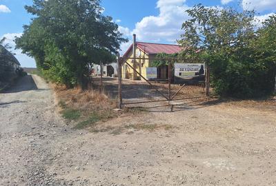 Vând teren intravilan 10.000mp +casa+anexe(spatii prodictie-depozitare) - 14